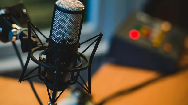A studio microphone