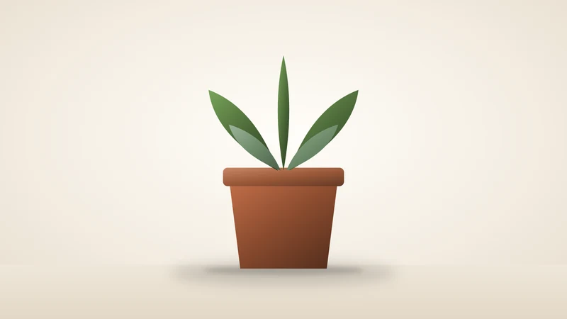 Illustration of a potted plant