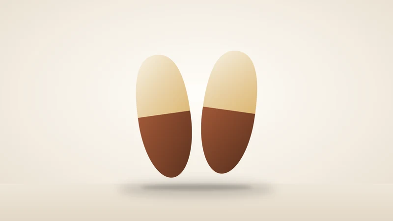 Illustration of a pair of slippers