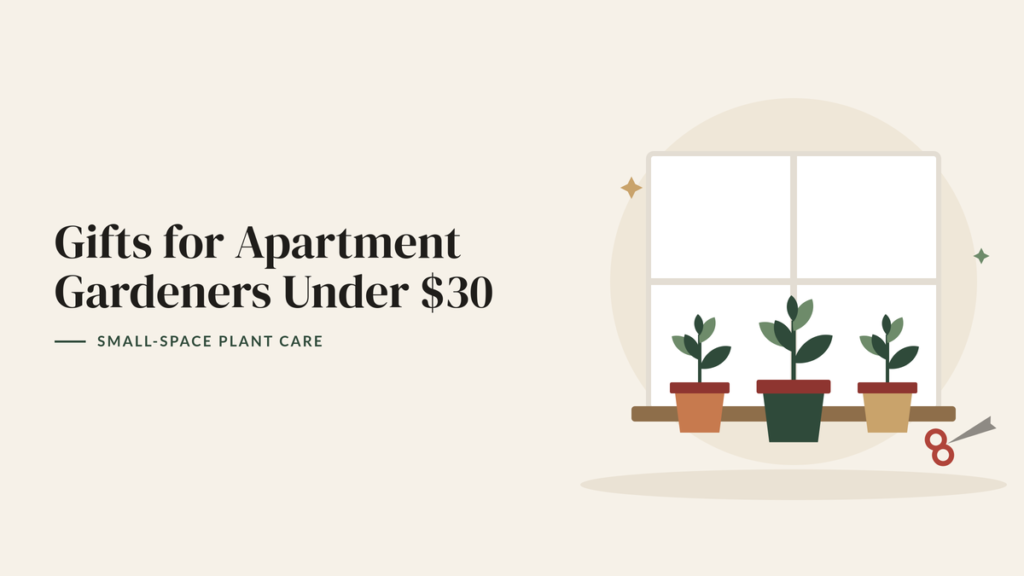 Illustration of three potted plants on a windowsill and a pair of pruning snips for an apartment gardening gift guide