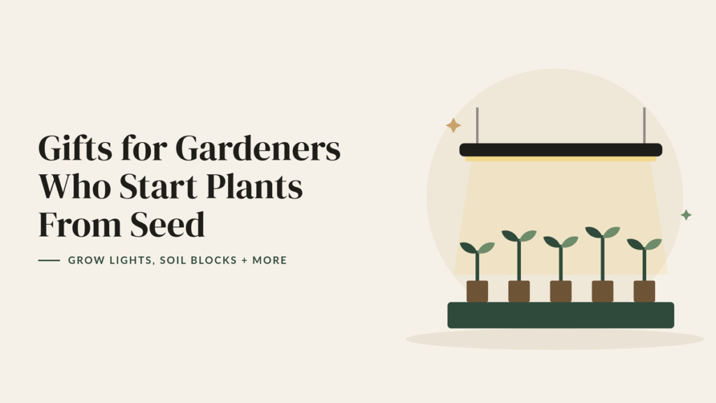 Illustration of seedlings growing in soil blocks under an LED grow light for a seed starting gift guide
