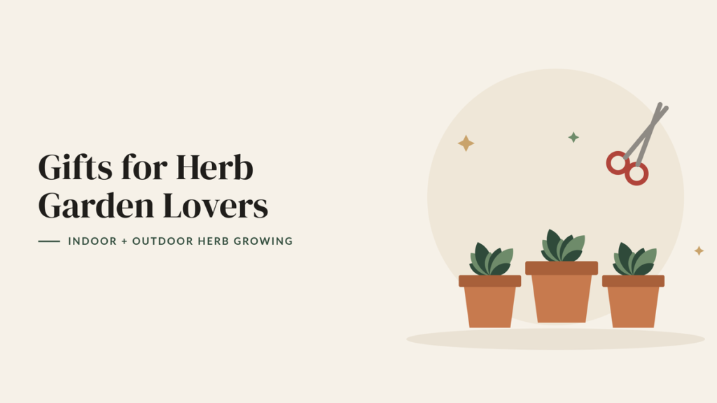 Illustration of three terracotta pots with leafy herbs and a pair of herb scissors for a herb garden gift guide