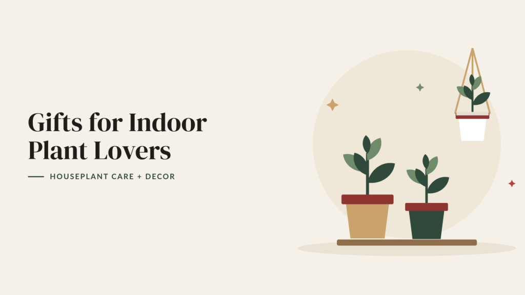 Illustration of potted houseplants on a wooden shelf and a hanging planter for a houseplant gift guide