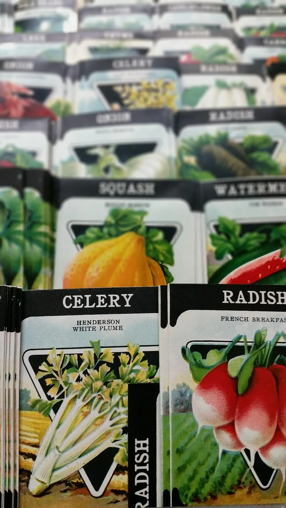 Seeds