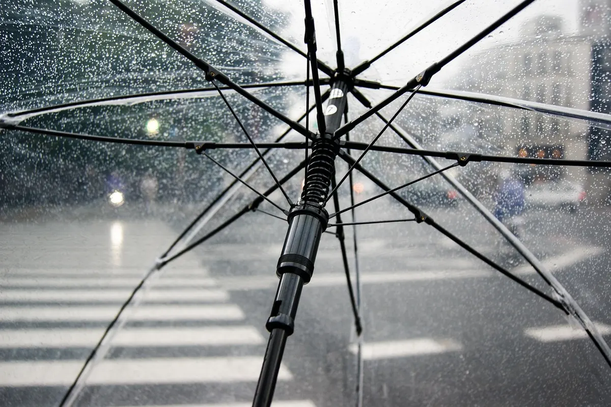 Umbrella