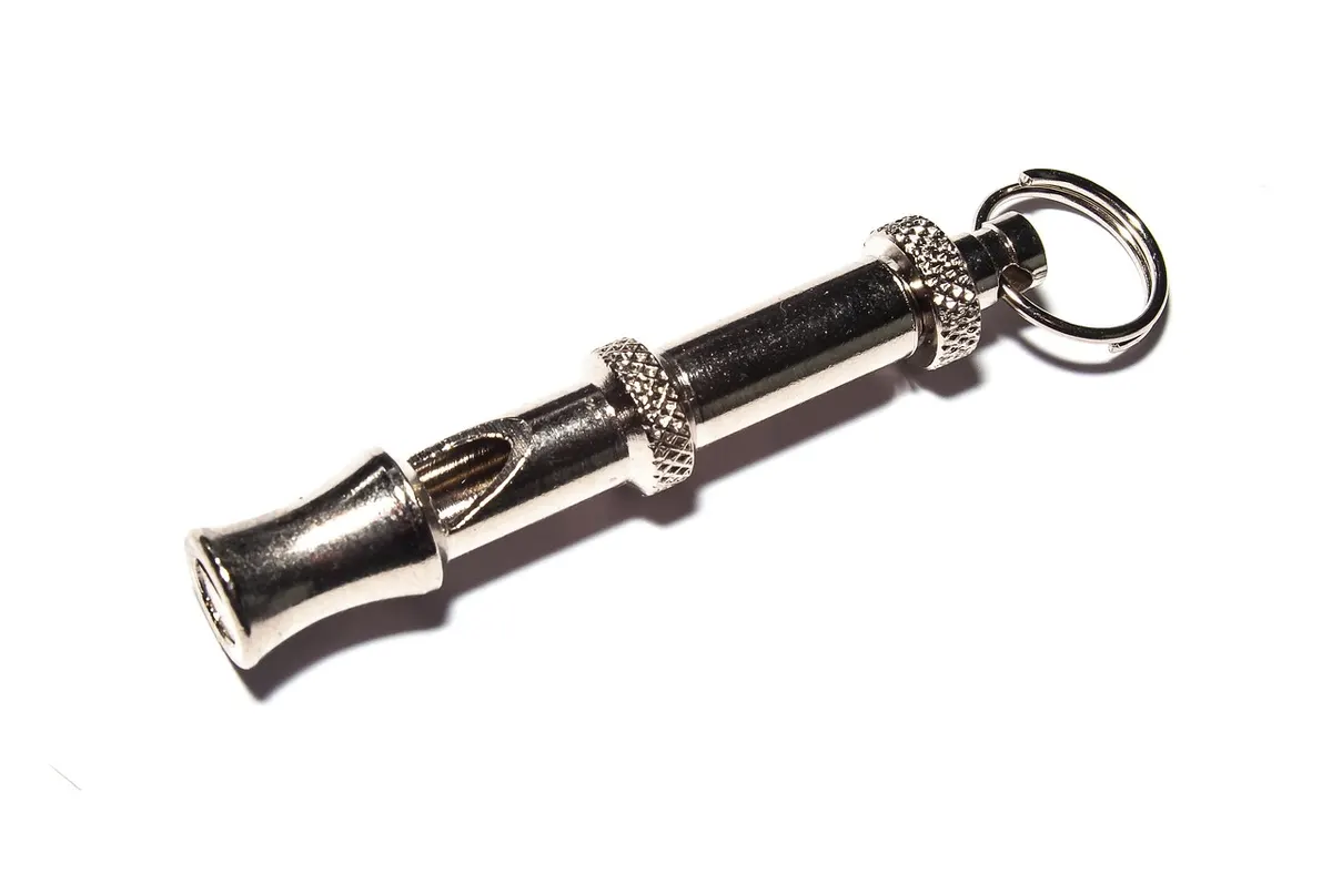 Whistle