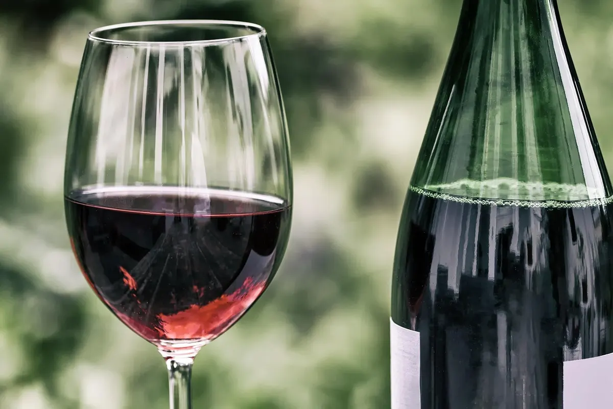 Wine glass