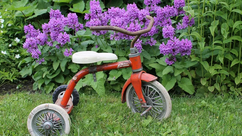 Balance bike