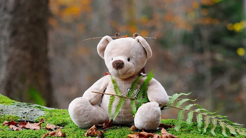 Baby cloth book