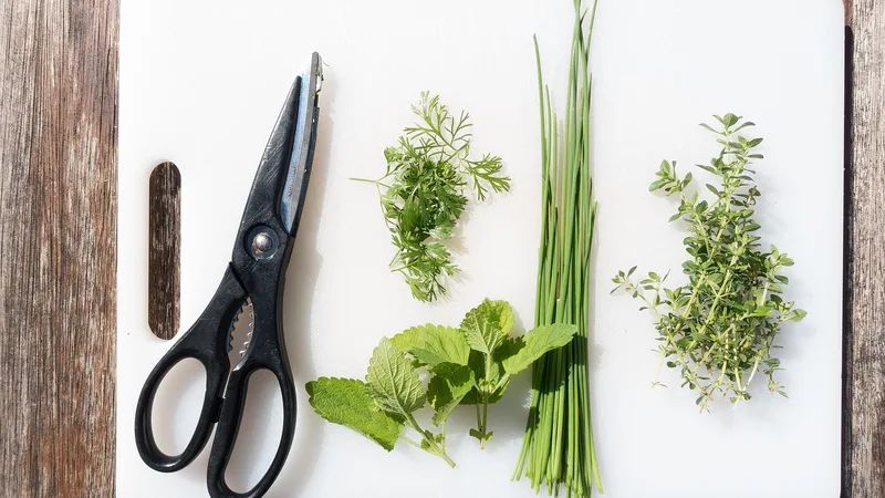 Kitchen scissors herbs