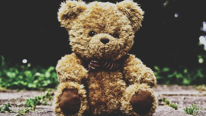 Plush toy animal