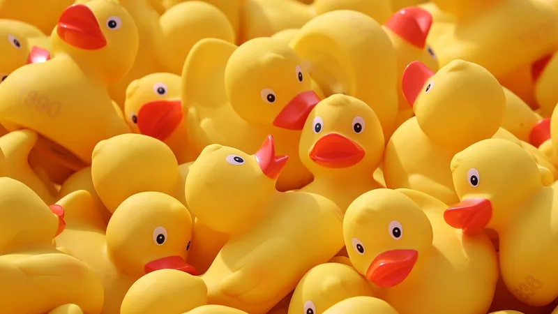 Rubber duck