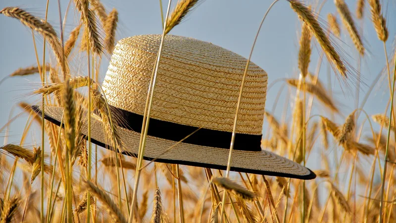 Baby sun hat
