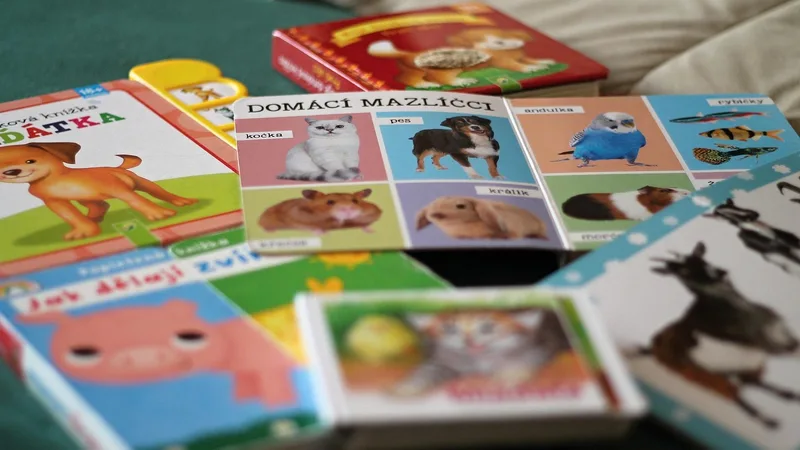 Children's picture book