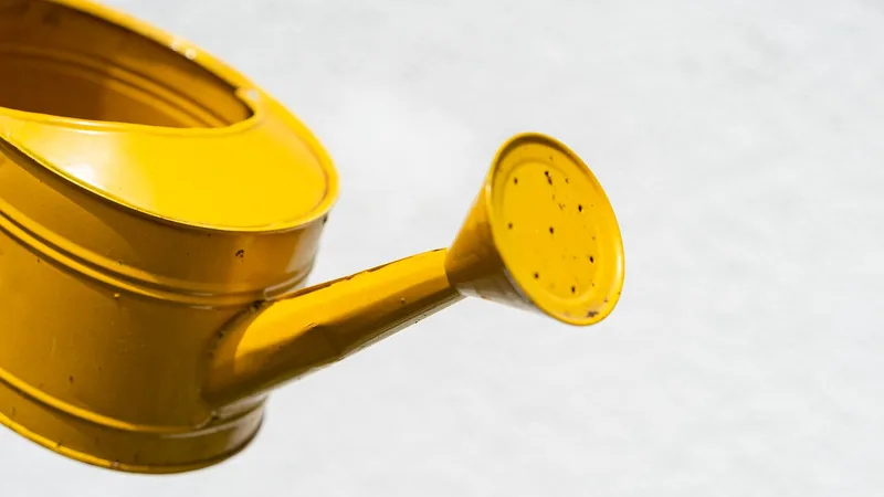 Watering can
